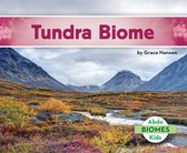 Biomes - Tundra Biome