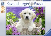 Ravensburger puzzel Lieve Golden Retriever - Legpuzzel - 500 stukjes