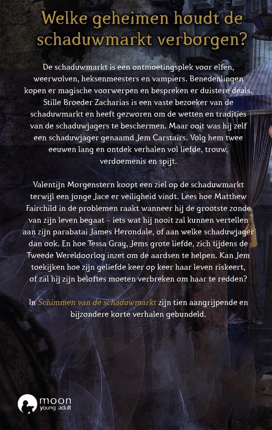 Boekomslag met titel 'Welke geheimen houdt de schaduwmarkt verborgen?' en tekst over de inhoud.