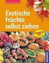 Exotische Früchte selbst ziehen