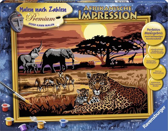 Schilderen op nummer Afrikaanse impressie Hobbypakket | bol.com