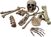 ESPA - Bebloede skelet botten decoratie - Decoratie > Decoratie beeldjes