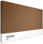 Pantone Art Schilderij Limited - 150 x 100 x 4 cm - Brons