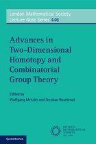 London Mathematical Society Lecture Note Series 446 - Advances in Two-Dimensional Homotopy and Combinatorial Group Theory