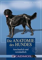 Hundwissen - Die Anatomie des Hundes