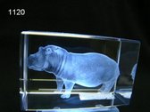 Glasblokje nijlpaard