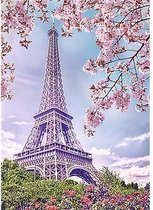 Wizardi Diamond Painting Spring in Paris WD 124