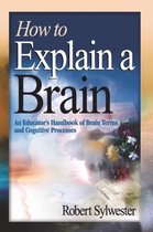How To Explain A Brain