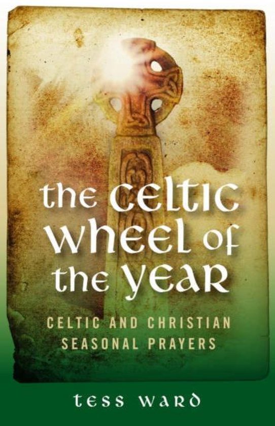 Celtic Wheel of the Year 9781905047956 Tess Ward Boeken