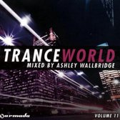 Trance World Volume 11