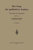 Der Gang Der Qualitativen Analyse