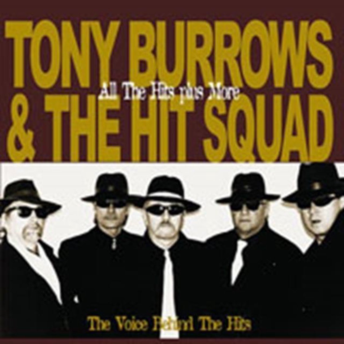 The Voice Behind The Hits
