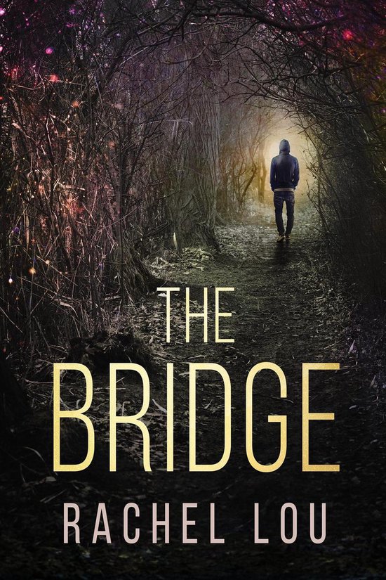 Omslag van The Bridge