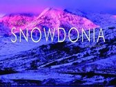 A Vision of Snowdonia