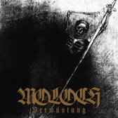 Verwustung