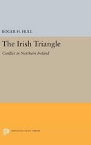 The Irish Triangle - Conflict in Northern Ireland