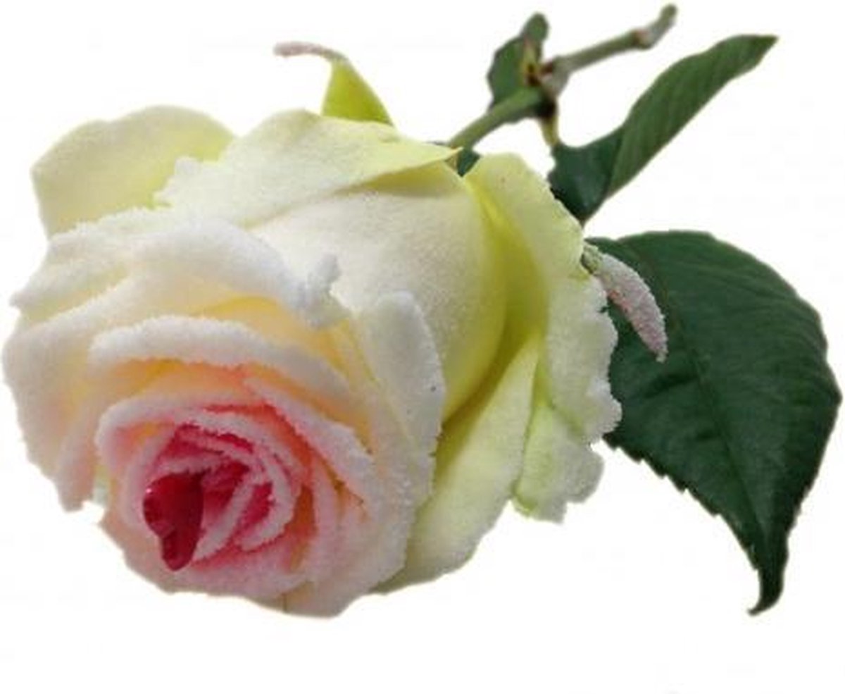 Liefde roos met rood hartje