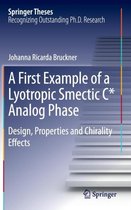A First Example of a Lyotropic Smectic C* Analog Phase