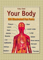 100 Illustrated Fun Facts 5 - Your Body: 100 Illustrated Fun Facts