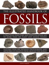 Illustrated Handbook of Fossils