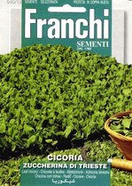 Franchi - Cicoria Di Trieste - bladcichorei