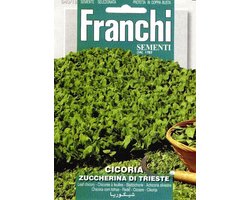Franchi - Cicoria Di Trieste - bladcichorei