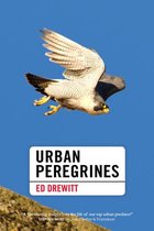 Pelagic Monographs - Urban Peregrines