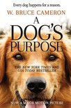 A Dog's Purpose 1 - A Dog's Purpose
