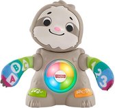 Fisher-Price GHY87 educatief speelgoed