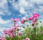 Tuinposter | Tuindoek - Bloemen