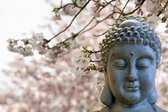 Tuinposter - Boedda en bloesem