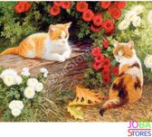 Schilderen op nummer "JobaStores®" Katten 40x50cm