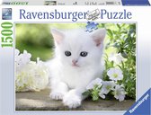 Ravensburger puzzel Wit poesje - Legpuzzel - 1500 stukjes