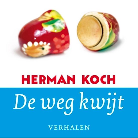 De weg kwijt - Herman Koch | 