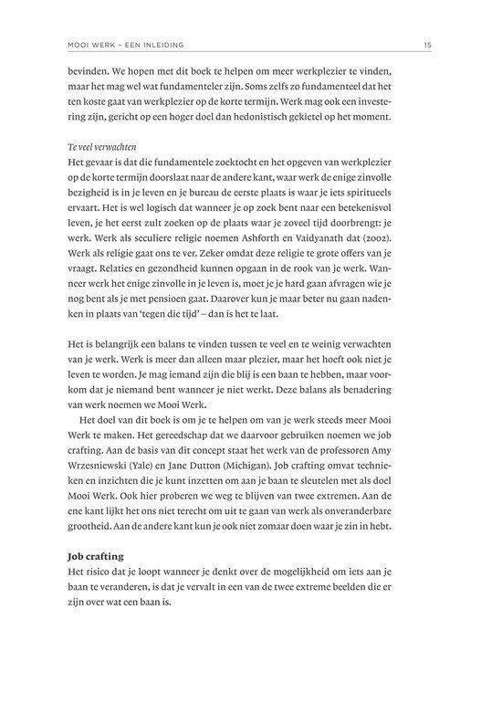 Pagina 15 van het boek 'Mooi Werk' met tekst over werkplezier, werk en zingeving.