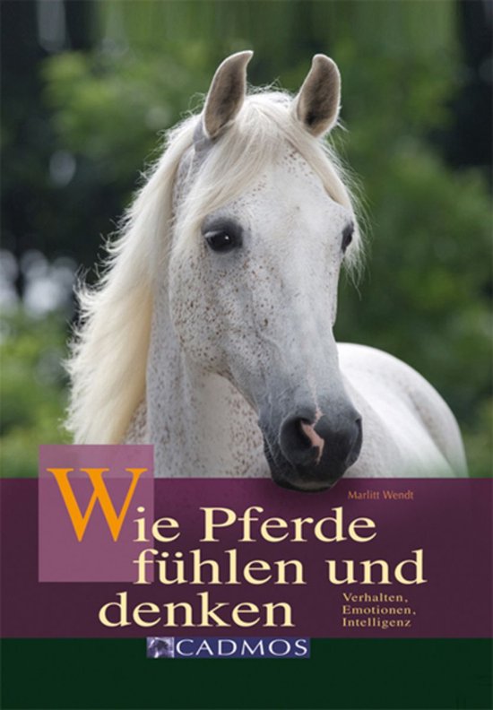 Mit Pferden kommunizieren - Wie Pferde fühlen und denken - cover