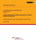 Issues Faced By Small and Medium Enterprises In A Global Business Environment