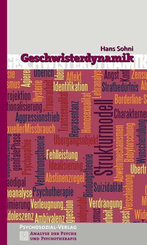 Geschwisterdynamik - cover