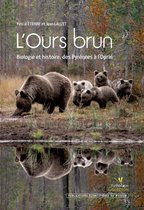 Collection Parthénope - L'Ours brun