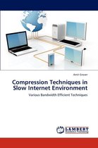 Compression Techniques in Slow Internet Environment