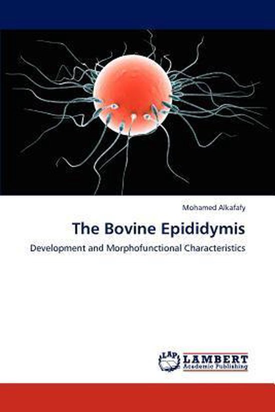 The Bovine Epididymis - cover