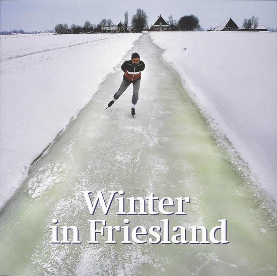 Cover van het boek 'Winter in Friesland'