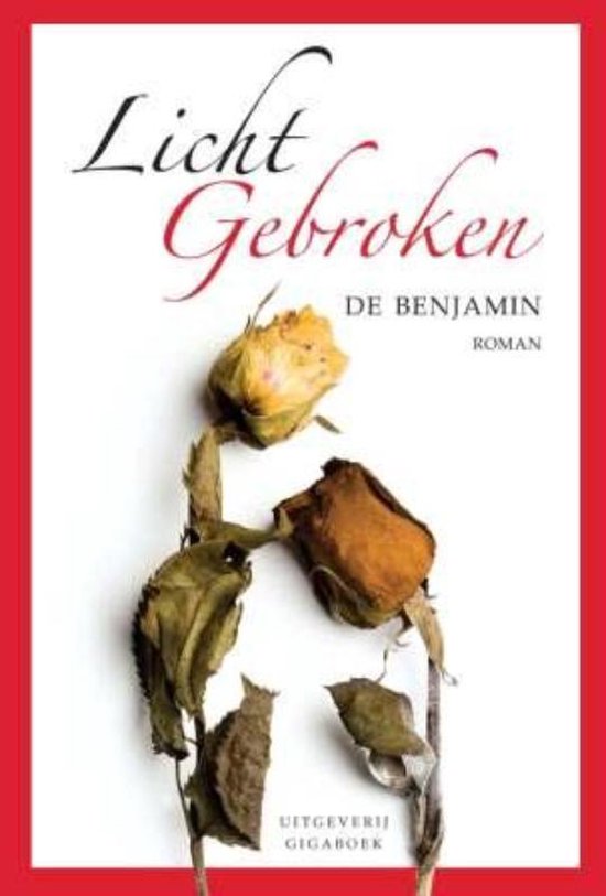 Cover van het boek 'Licht gebroken'
