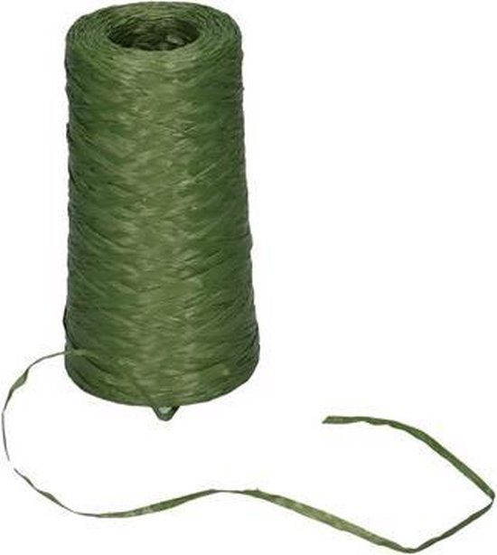 Bindebast - plastic touw - boekettouw - groen - 3mm - 500m | bol.com