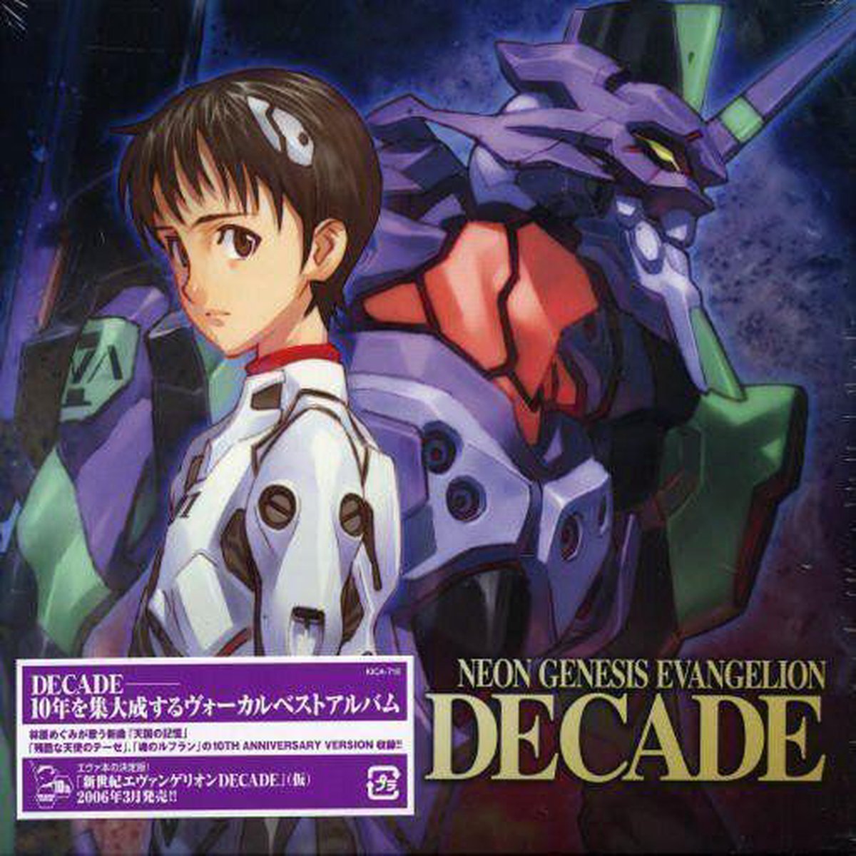 Neon Genesis Evangelion 10th Anniversary