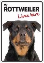 Rottweiler Lives Here