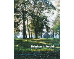 Brinken in beeld