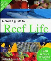 A Diver's Guide to Reef Life