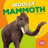 Bumba Books ® — Dinosaurs and Prehistoric Beasts - Woolly Mammoth