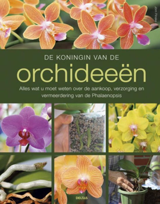 Cover van het boek 'De Koningin Van De Orchideeen' van Jorn Pinske